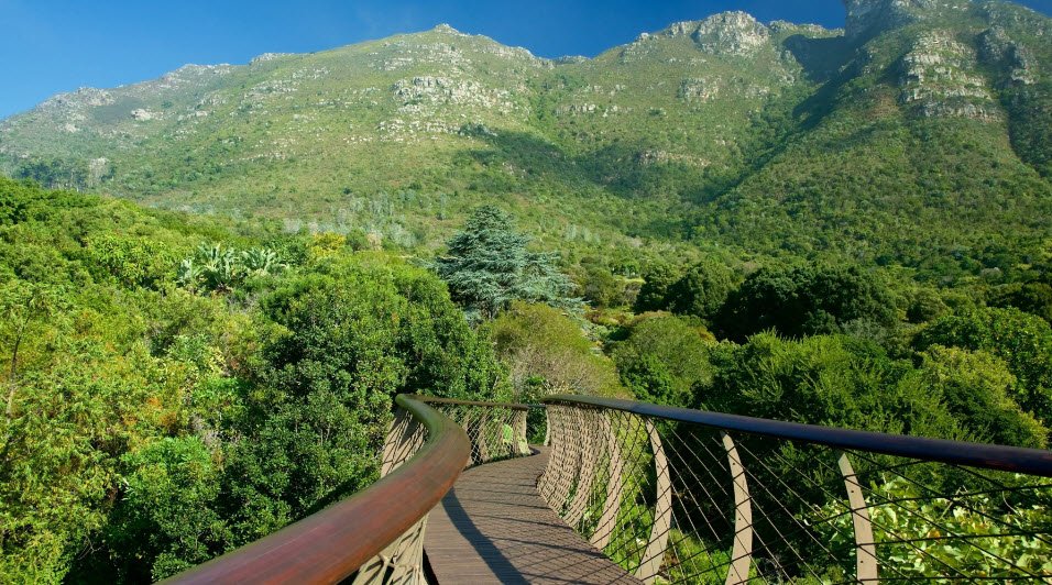 Kirstenbosch National Botanical Garden, South Africa